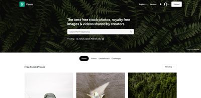 "Pexels.com website 2022"